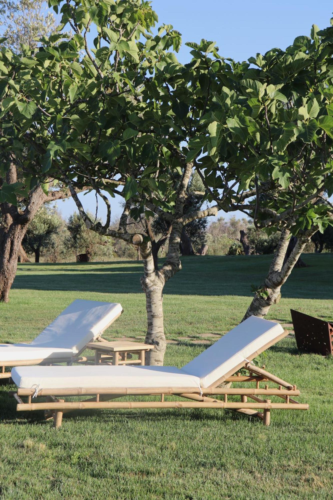 Secolario Masseria Del Viverbene Palmariggi Екстер'єр фото
